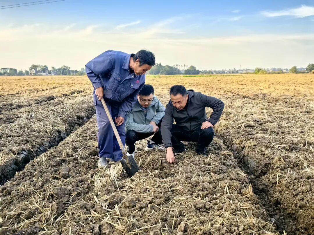 “農(nóng)技+農(nóng)機(jī)”雙擎驅(qū)動(dòng)，為秋播秋種注入優(yōu)質(zhì)“種子力量”